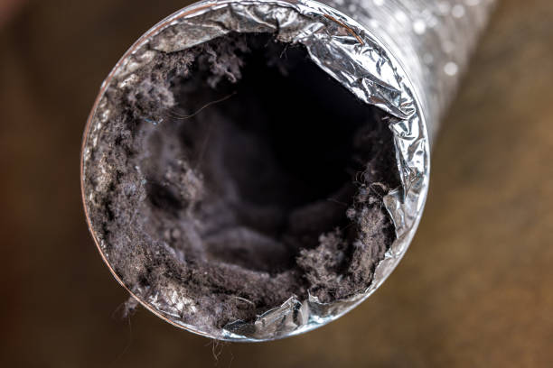 Best Local Air Duct Cleaning Services  in Mackinac Island, MI